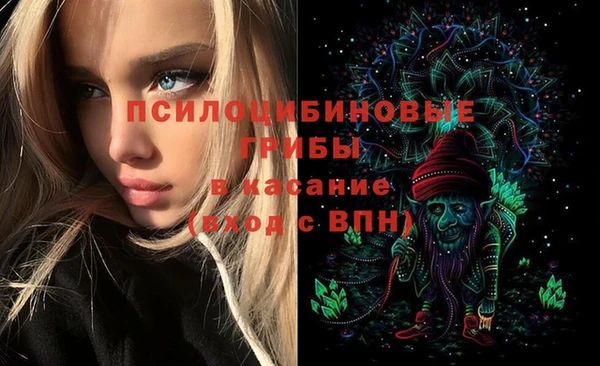 спиды Белокуриха
