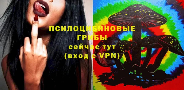 спиды Белокуриха