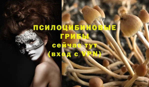 гашик Беломорск